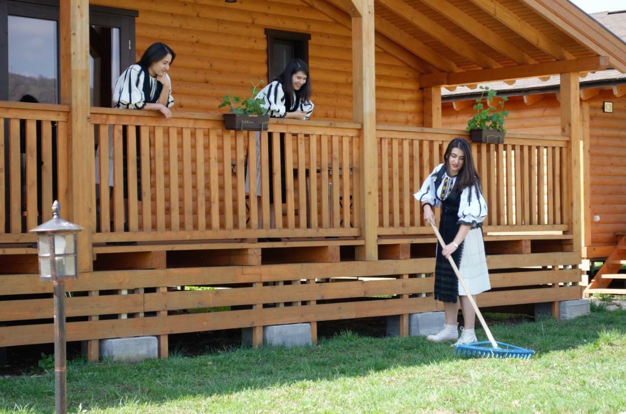 バイア・デ・フィエル Complex Agroturistic Livada De Nuciヴィラ エクステリア 写真