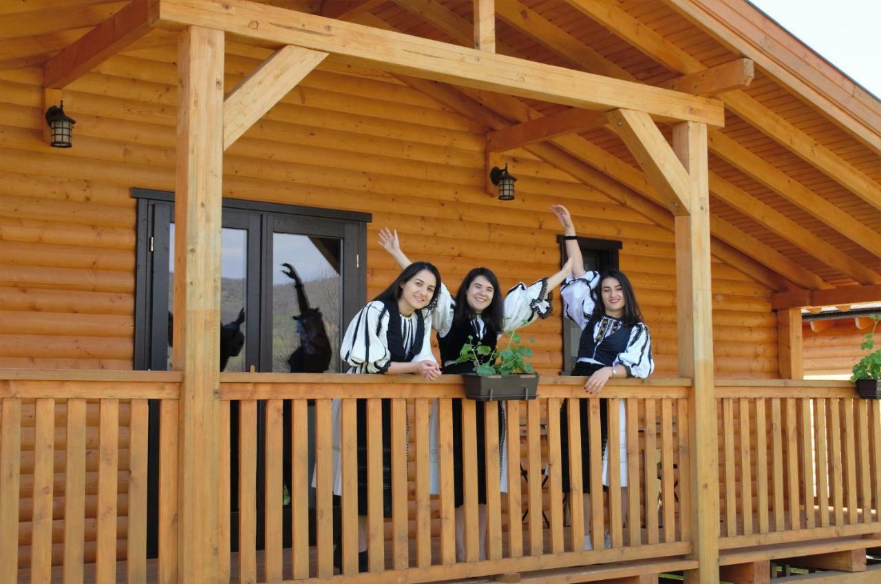 バイア・デ・フィエル Complex Agroturistic Livada De Nuciヴィラ エクステリア 写真